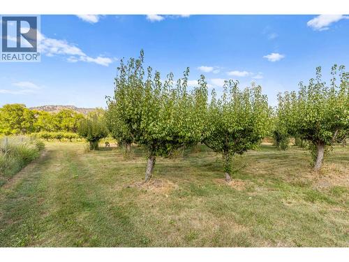 294 Road 18 Road, Oliver, BC - Outdoor With View