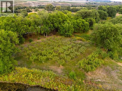 294 Road 18 Road, Oliver, BC - Outdoor With View