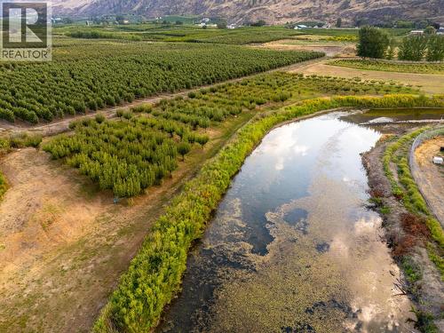 294 Road 18 Road, Oliver, BC - Outdoor With View