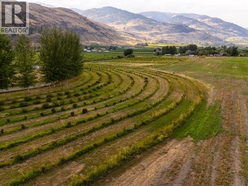 294 Road 18 Road, Oliver, BC - Outdoor With View