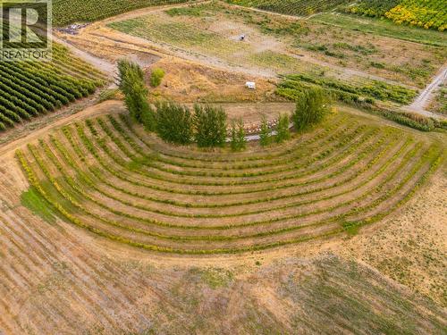 294 Road 18 Road, Oliver, BC - Outdoor With View