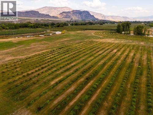 294 Road 18 Road, Oliver, BC - Outdoor With View