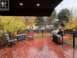 Beautiful 2022 built raised deck - 