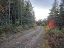 Land 104 Highway, River Bourgeois, NS 