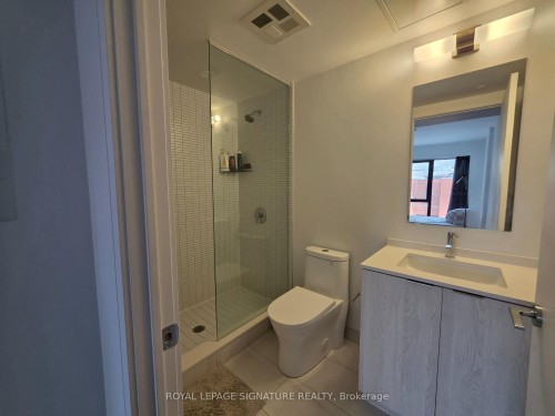 315-1 Jarvis Street, Hamilton, ON - Indoor Photo Showing Bathroom