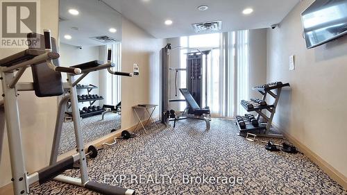 Ph6 - 29 Northern Heights Drive, Richmond Hill, ON - Indoor Photo Showing Gym Room