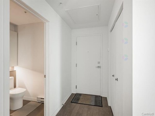 Entry - 1703-1160 Rue Mackay, Montréal (Ville-Marie), QC - Indoor