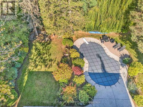 secluded Backyard - 1049 Indian Road, Mississauga, ON - Outdoor