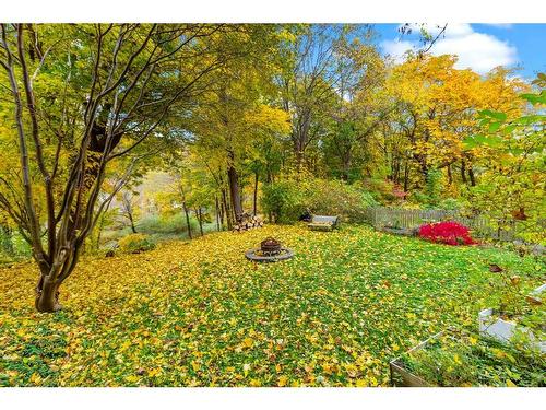 149 Waterford Bridge Road, St. John'S, NL 