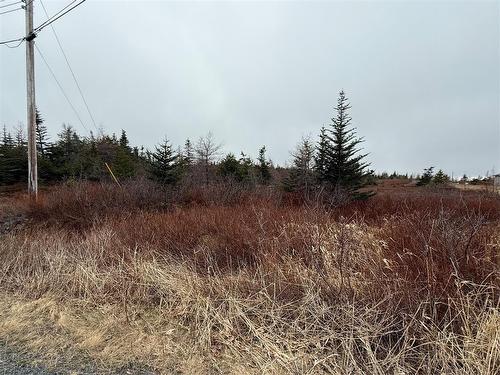 163 Ridge Road, Spaniards Bay, NL 