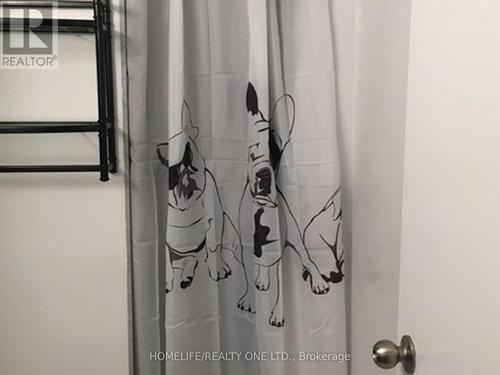 77 Tecumseth Street, Toronto, ON - Indoor Photo Showing Bathroom