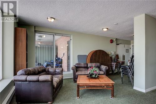 2000 Regent Street Unit# 101, Sudbury, ON - Indoor Photo Showing Living Room
