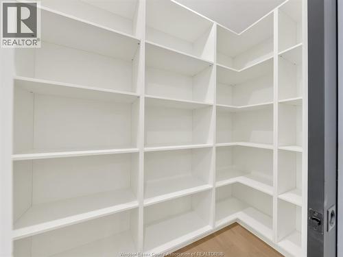 4532 Valerio Crescent, Lasalle, ON - Indoor With Storage
