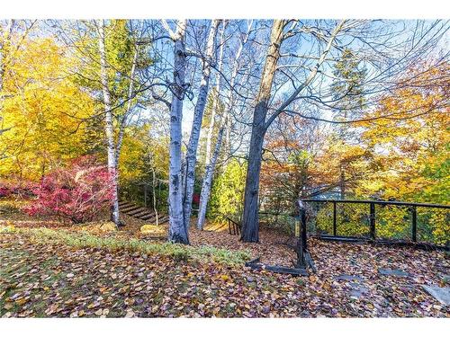 295 Montgomery St, Fredericton, NB 