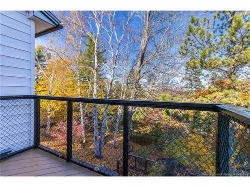 295 Montgomery St, Fredericton, NB 