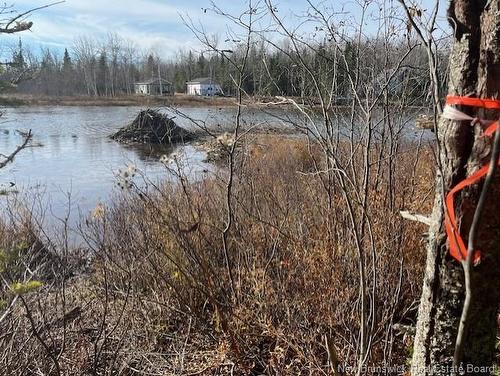 Lot 11-2 Hazen Lane, Lake George, NB 