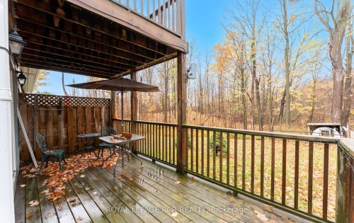 1008 Tottenham Road, New Tecumseth, ON - Outdoor With Deck Patio Veranda With Exterior