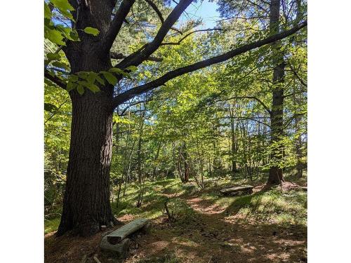 2-25 Treehouse Lane, Bridgewater, NS 