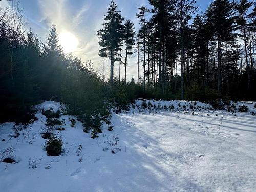 75 Danica Drive, Pine Grove, NS 