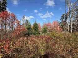 Lot Willow Lane  Priest Pond, PE C0A 2B0