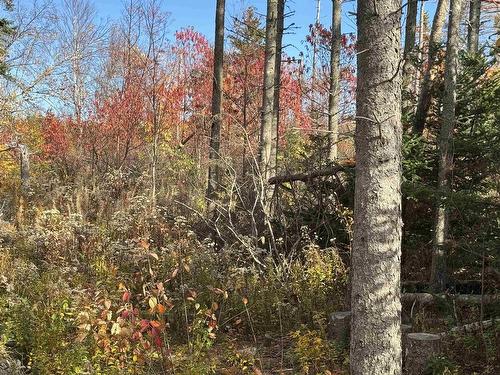 Lot Willow Lane, Priest Pond, PE 