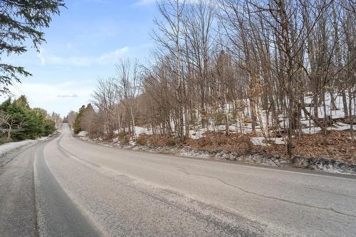 Backyard - 1595 Ch. Du Lac-Des-Becs-Scie O., Saint-Sauveur, QC - Outdoor With View