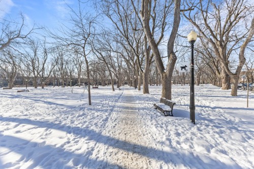 Other - 4303 Rue Chapleau, Montréal (Le Plateau-Mont-Royal), QC - Outdoor