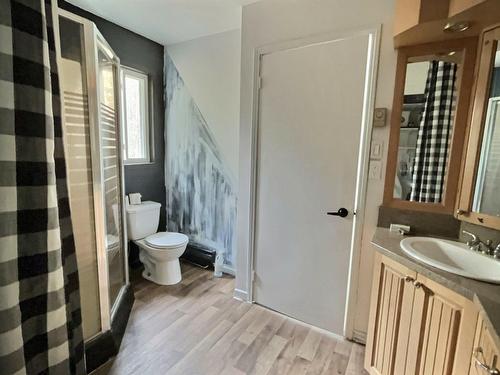 Salle de bains - 252 9E Rang, Saint-Adrien-D'Irlande, QC 