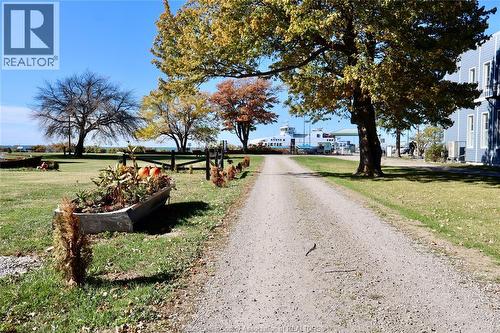 1081 West Shore Road, Pelee Island, ON 