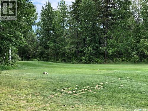 1 Northern Meadows Crescent, Goodsoil, SK 