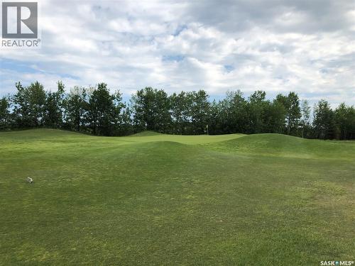 19 Northern Meadows Way, Goodsoil, SK 