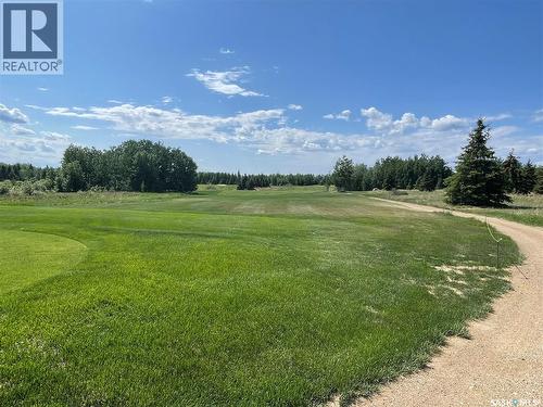 4 Northern Meadows Way, Goodsoil, SK 