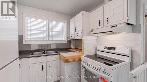 424 Bonita Crescent, Richmond Hill, ON - Indoor Photo Showing Kitchen With Double Sink