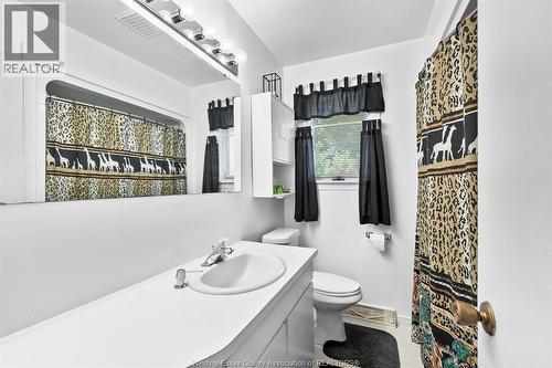 493 Bertha, Windsor, ON - Indoor Photo Showing Bathroom