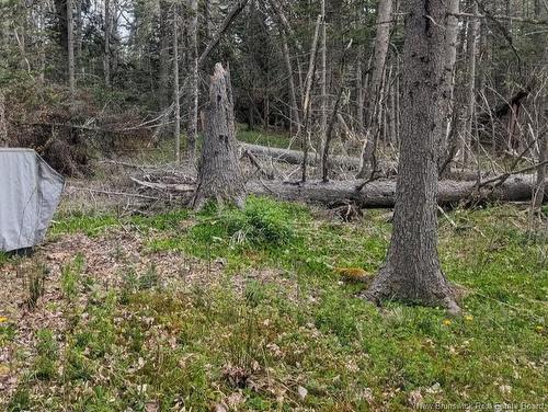 Lot Upper Cape Rd, Botsford, NB 