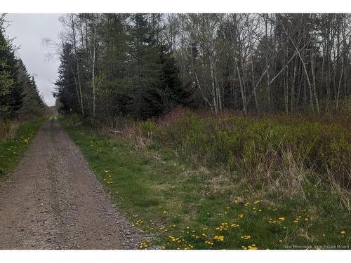 Lot Upper Cape Rd, Botsford, NB 