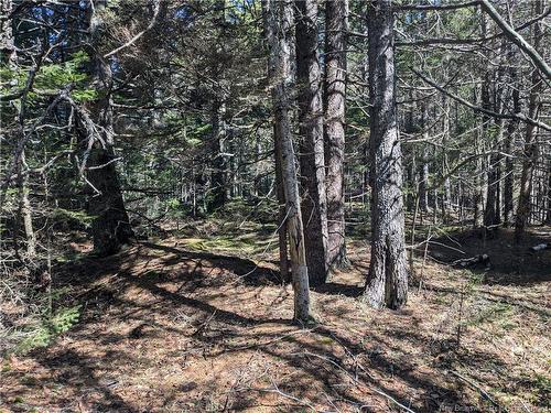 Lot Circle Dr, Welshpool, NB 