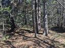 Lot Circle Dr, Welshpool, NB 