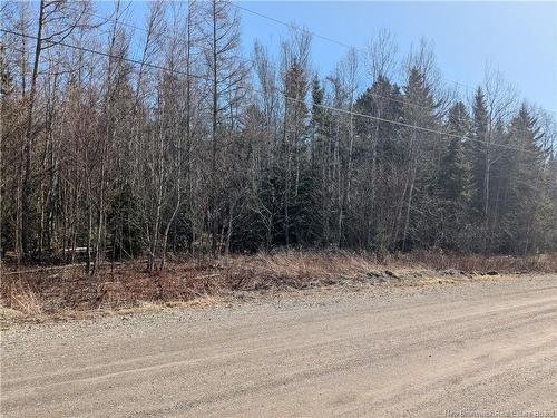 Lot Circle Dr, Welshpool, NB 