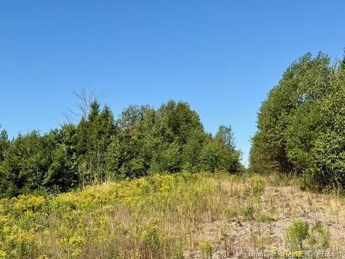 1191  137 Route 785, Utopia, NB 