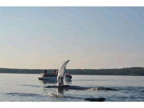 868 Fundy Dr, Wilsons Beach, NB 