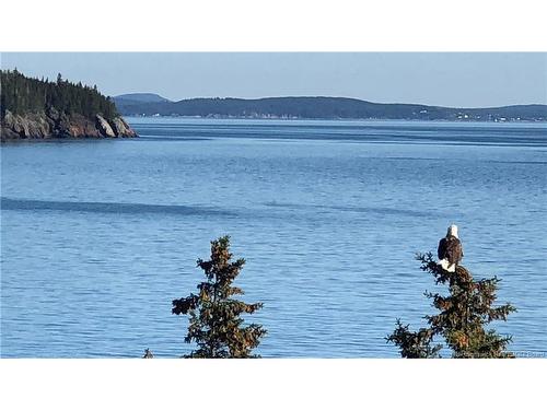 868 Fundy Dr, Wilsons Beach, NB 