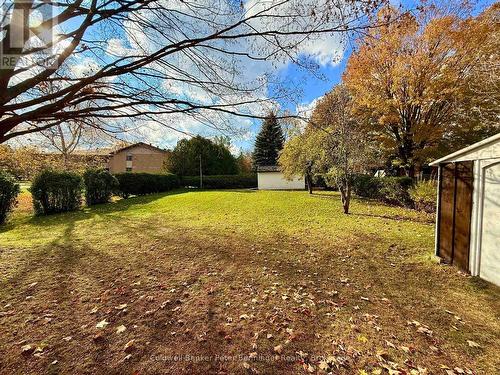 Backyard - 121 Hinks Street, Brockton, ON - Outdoor