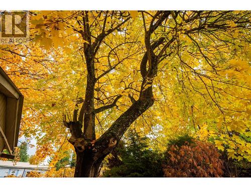 320 3Rd Avenue, Castlegar, BC 