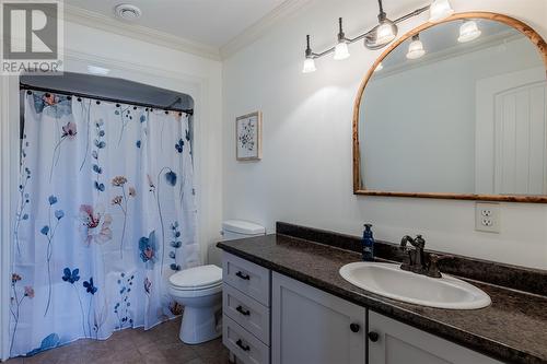 129 Seal Cove Road, Conception Bay South, NL - Indoor Photo Showing Bathroom