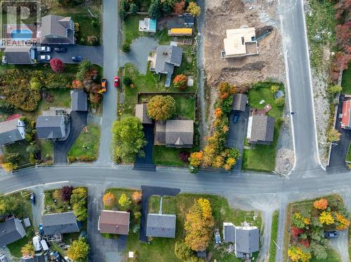 129 Seal Cove Road, Conception Bay South, NL - Outdoor With View