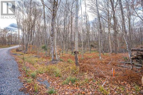 Part 7 Standing People Road, Seguin, ON 