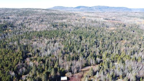 Aerial photo - Ch. St-Paul, La Malbaie, QC 