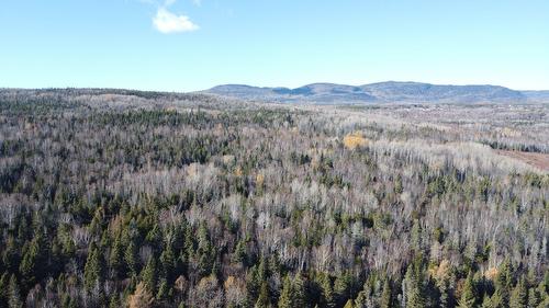 Photo aérienne - Ch. St-Paul, La Malbaie, QC 