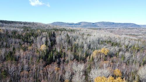 Photo aérienne - Ch. St-Paul, La Malbaie, QC 